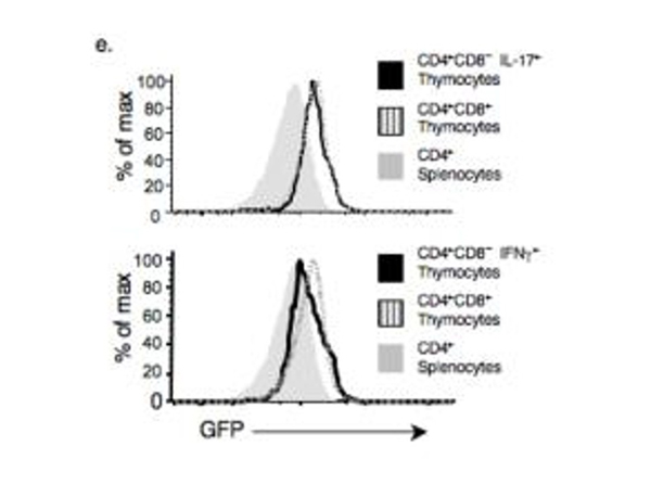 Flow Cytometry using GFP FITC